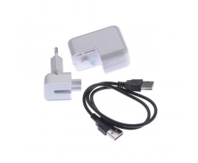 Διπλός Φορτιστής Πρίζας - Καταγραφικό με Κάμερα 1080p & Μικρόφωνο Oem